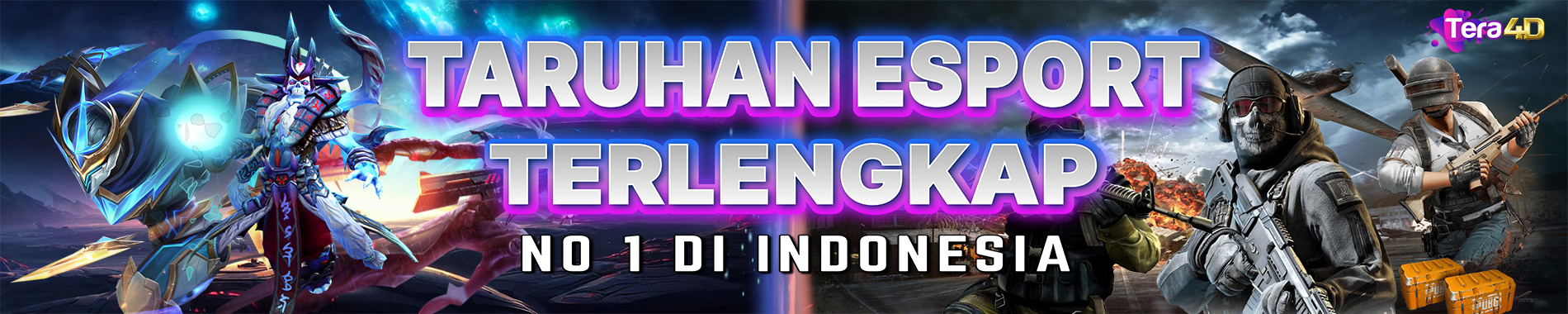https://tera4de.com/